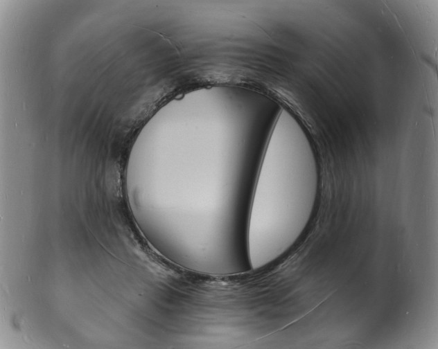 X0000101670453200807101053