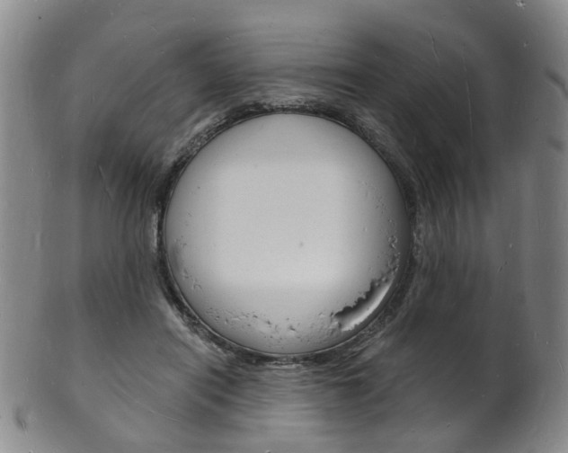 X0000101670454200807101053
