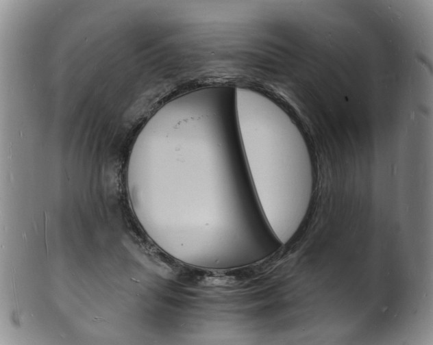 X0000101670455200807101053