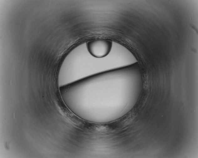 X0000101670456200807101053