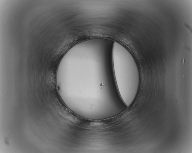 X0000101670457200807101053