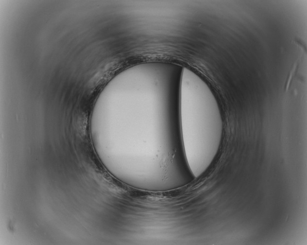 X0000101670458200807101053