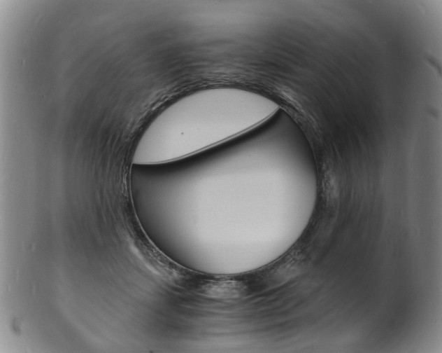X0000101670459200807101053