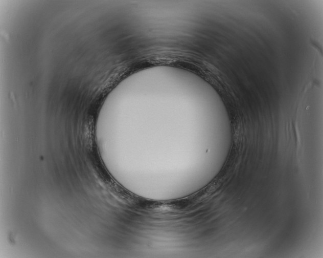 X0000101670460200807101053