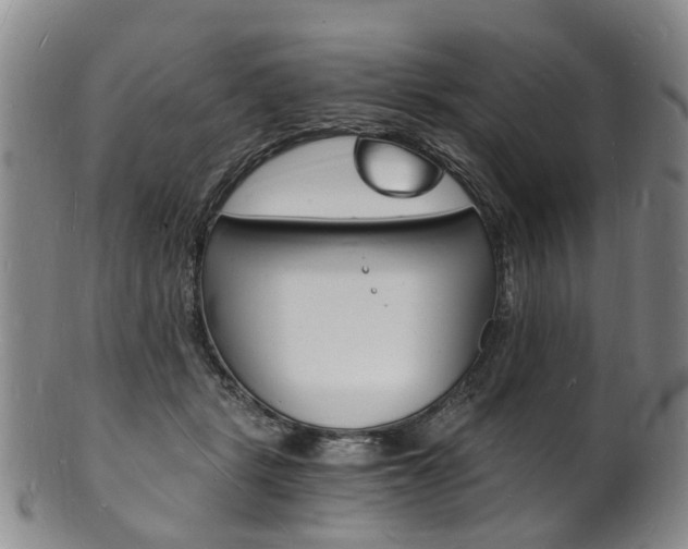 X0000101670461200807101053