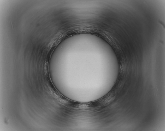 X0000101670462200807101053