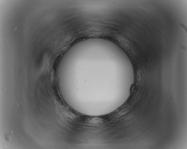 X0000101670463200807101053