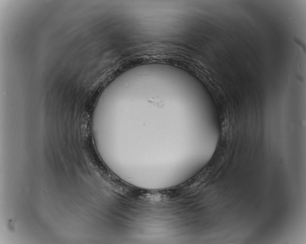 X0000101670464200807101053