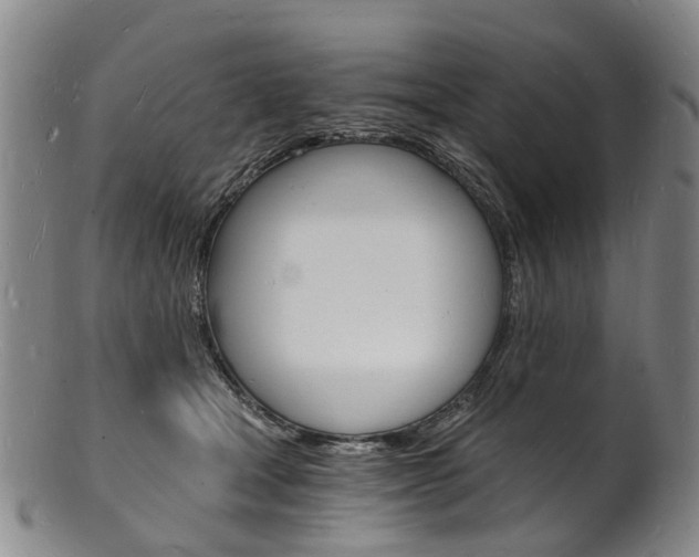 X0000101670465200807101053