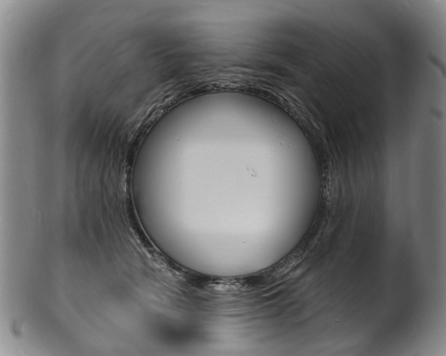X0000101670466200807101053
