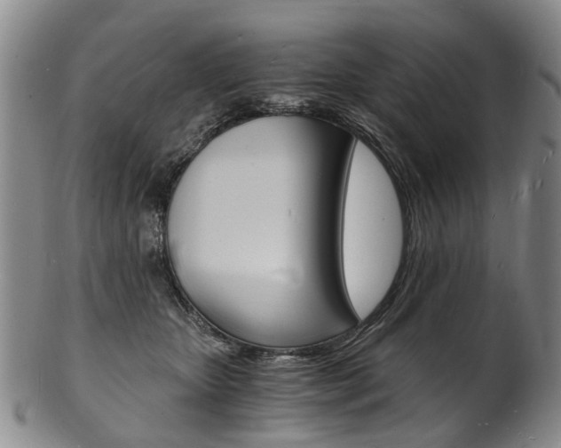 X0000101670467200807101053