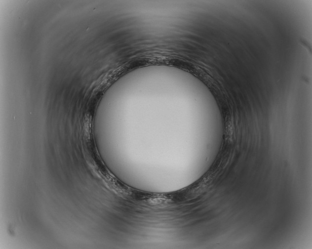 X0000101670468200807101053