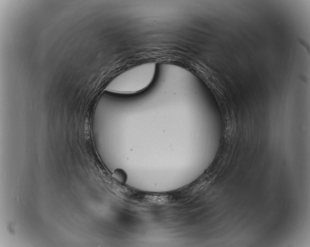 X0000101670469200807101053