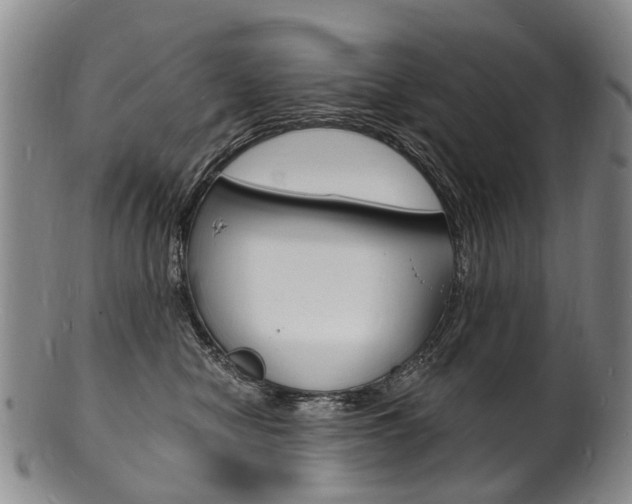 X0000101670470200807101053