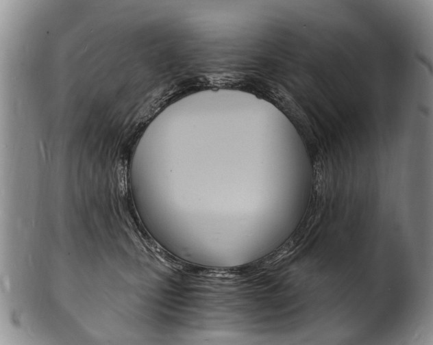 X0000101670471200807101053
