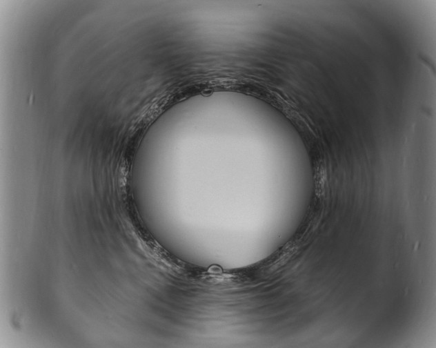 X0000101670472200807101053