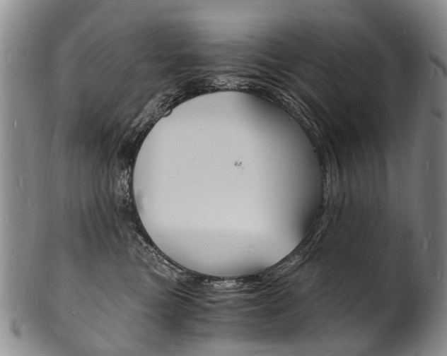 X0000101670473200807101053