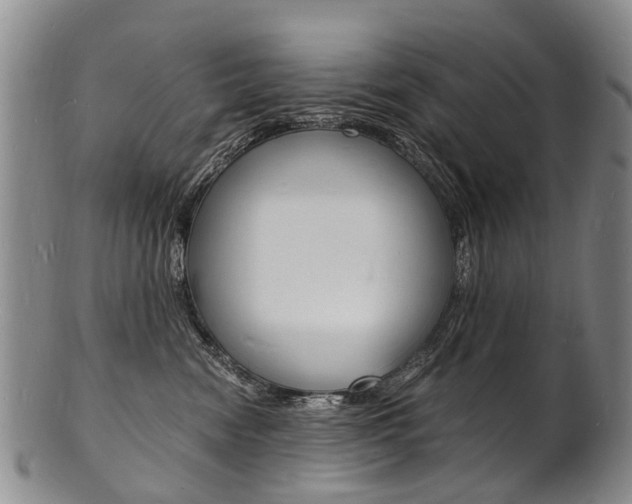 X0000101670474200807101053