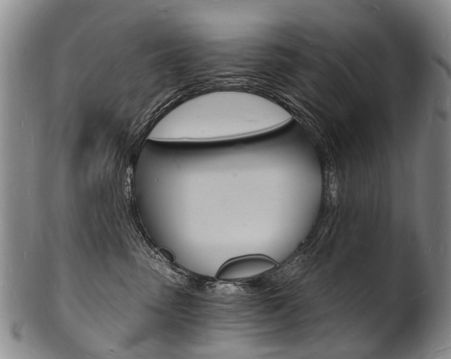 X0000101670475200807101053
