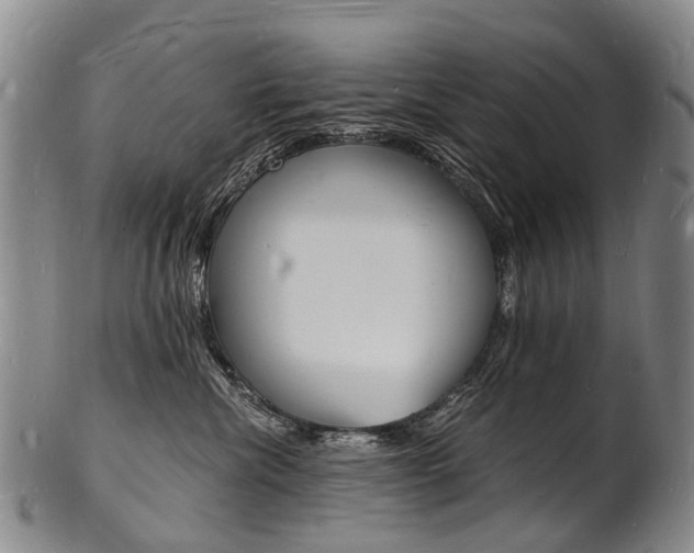 X0000101670476200807101053