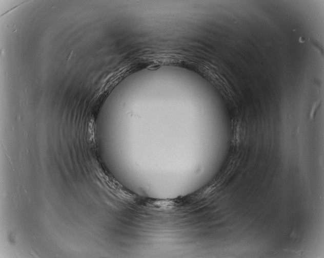 X0000101670478200807101053