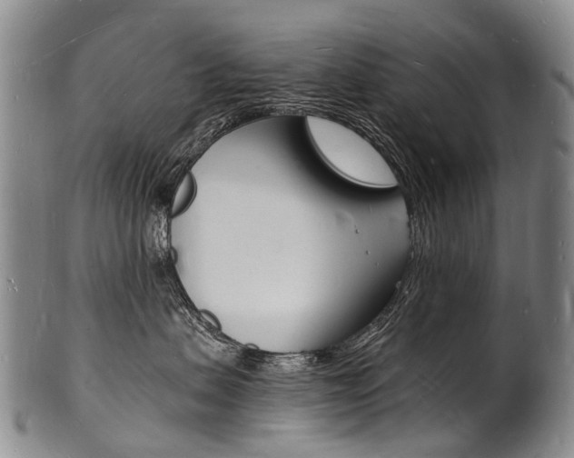 X0000101670479200807101053