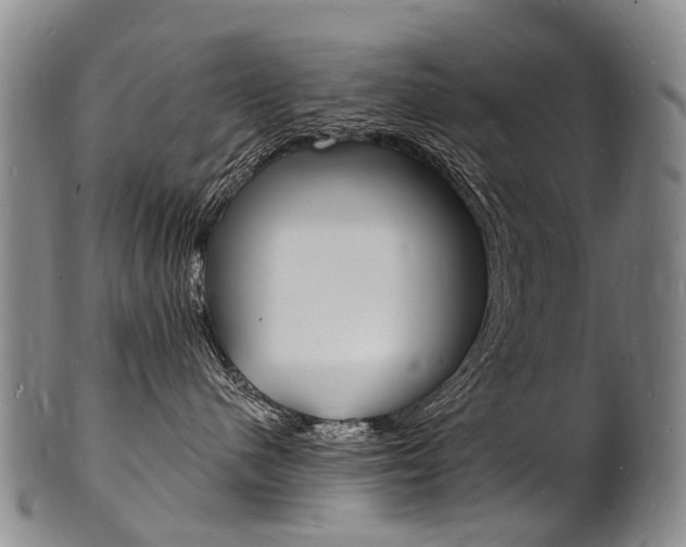 X0000101670480200807101053