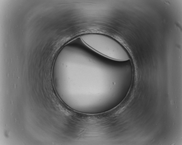 X0000101670481200807101053