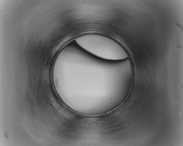 X0000101670482200807101053