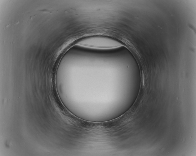 X0000101670483200807101053