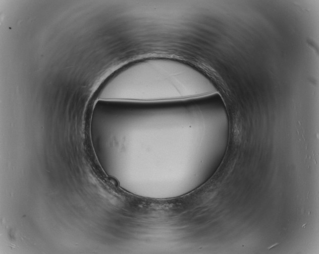 X0000101670484200807101053