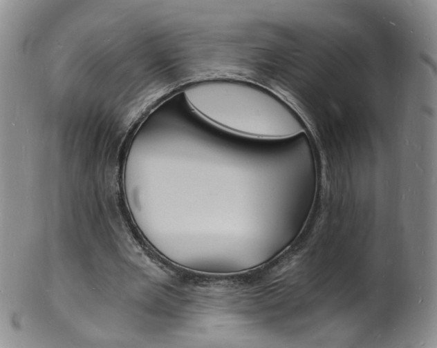 X0000101670485200807101053