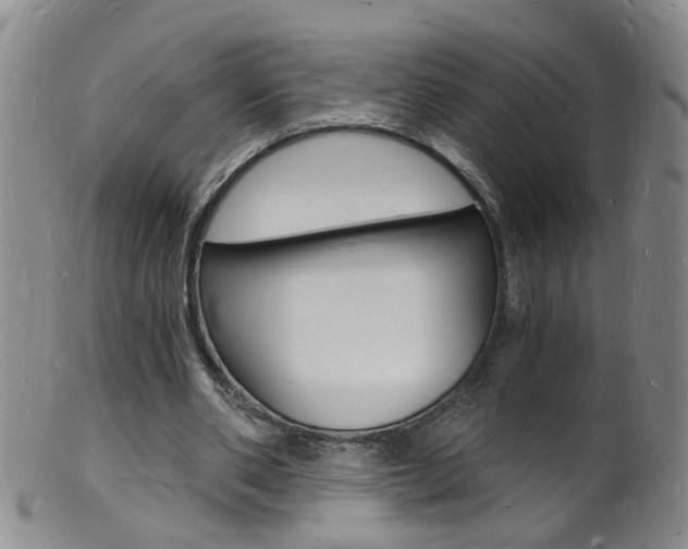 X0000101670486200807101053