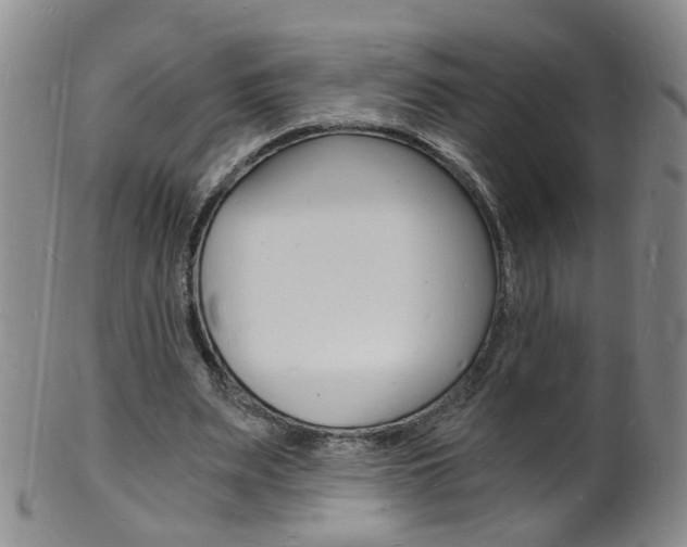 X0000101670487200807101053
