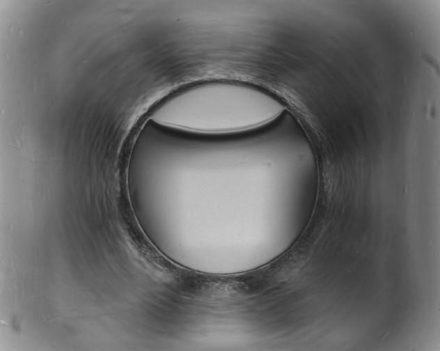 X0000101670488200807101053
