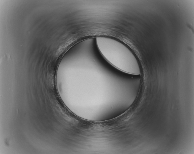 X0000101670489200807101053