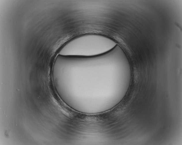 X0000101670490200807101053