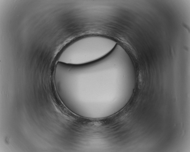 X0000101670492200807101052