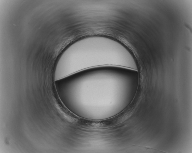 X0000101670493200807101052