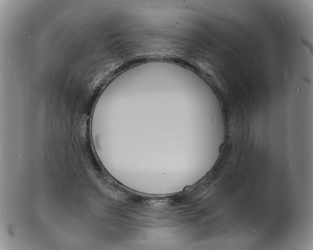 X0000101670495200807101052