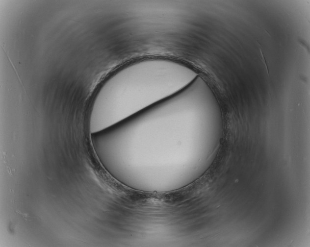 X0000101670496200807101052