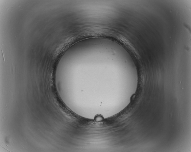 X0000101670497200807101052