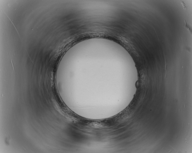 X0000101670498200807101052