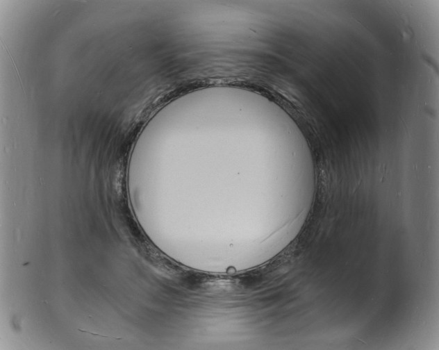 X0000101670499200807101052