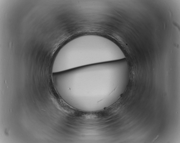 X0000101670500200807101052