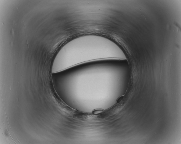 X0000101670501200807101052