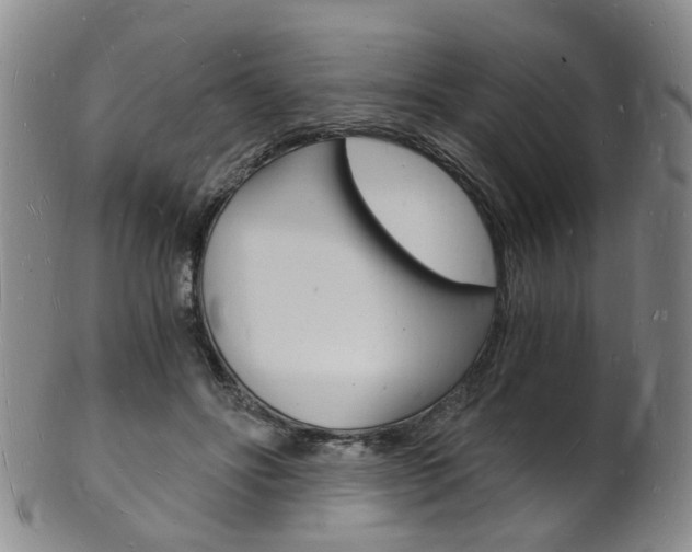 X0000101670502200807101052