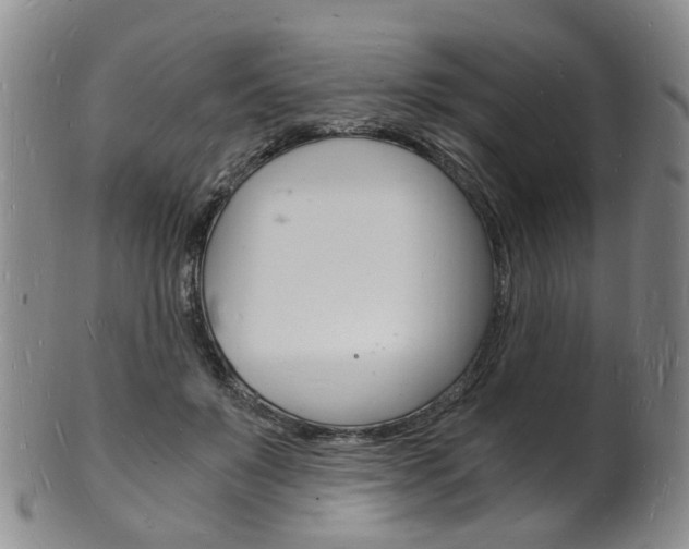 X0000101670503200807101052