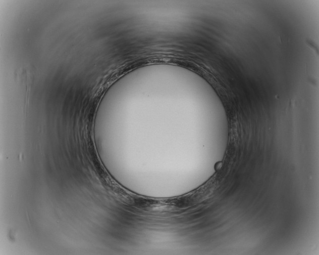 X0000101670504200807101052