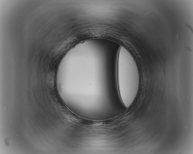 X0000101670505200807101052